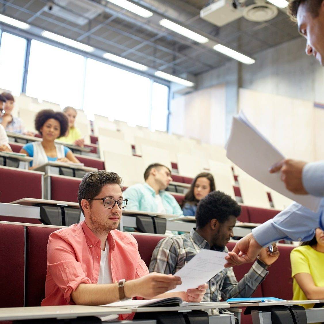 academia en Valencia - reparto de las actividades
