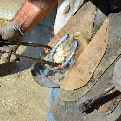 marechal-ferrand-blacksmith-artisan-iron-horseshoe-farrier