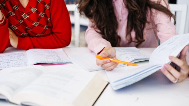 oposiciones de enseñanza en valencia – metodologia completa oposiciones de enseñanza en valencia - metodologia completa