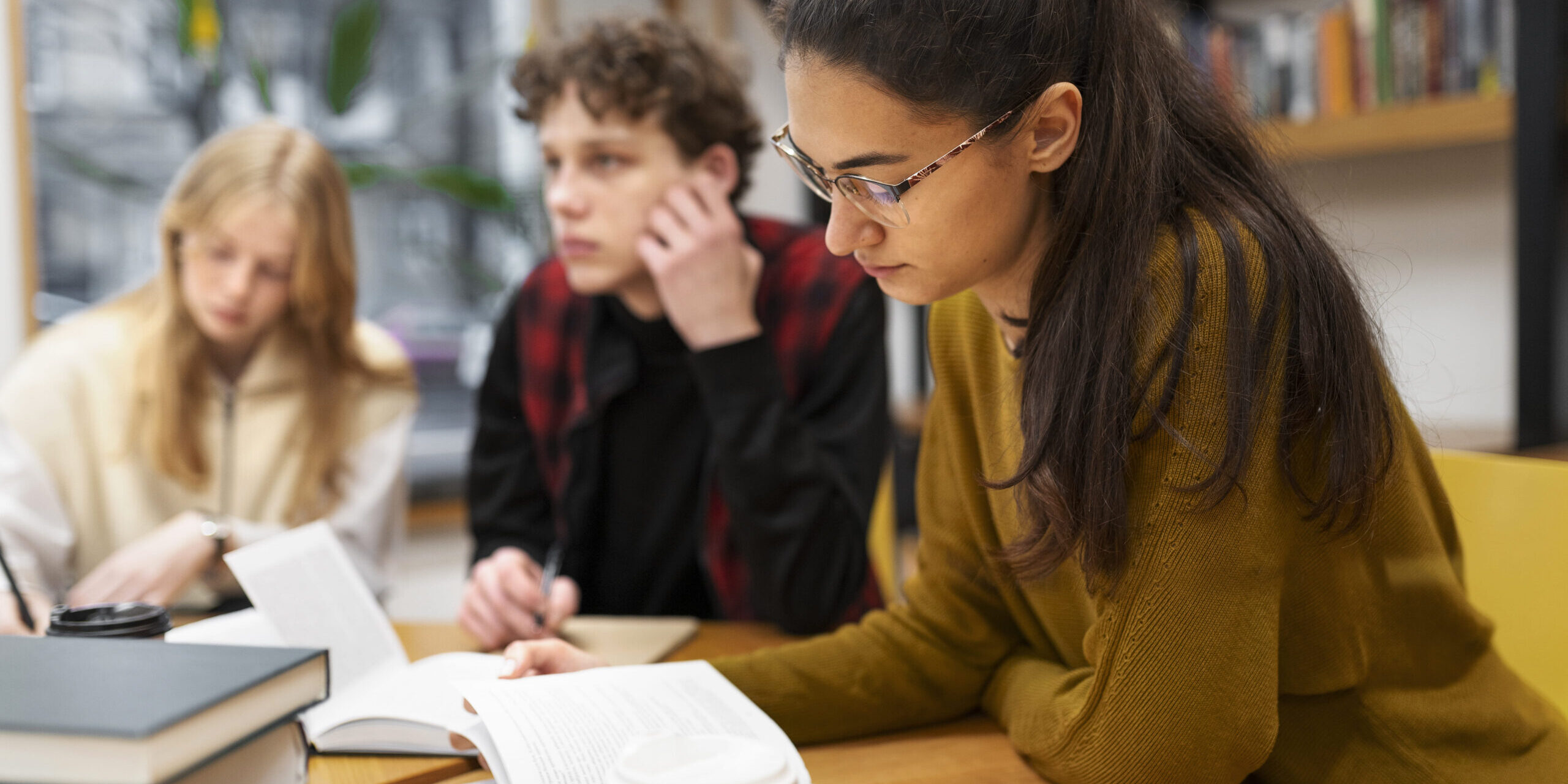 oposiciones de magisterio primaria en valencia – apoyo oposiciones de magisterio primaria en valencia - apoyo