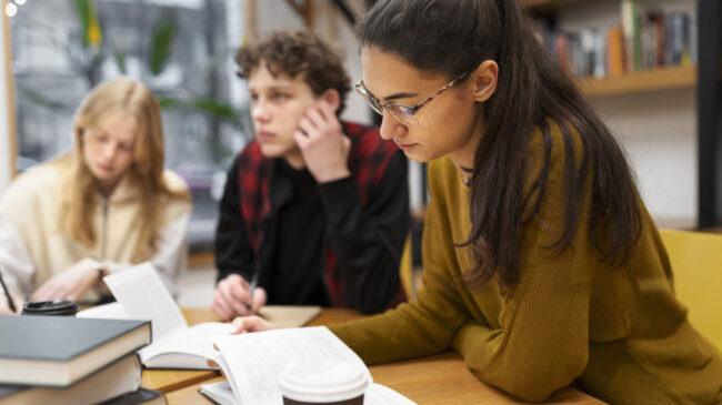 oposiciones de magisterio primaria en valencia – apoyo oposiciones de magisterio primaria en valencia - apoyo