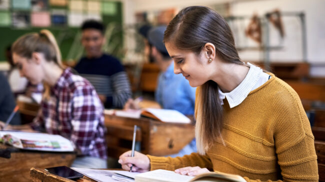 oposiciones para profesor de secundaria en valencia - equipo